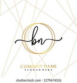 BN Initial Handwriting logo template vector