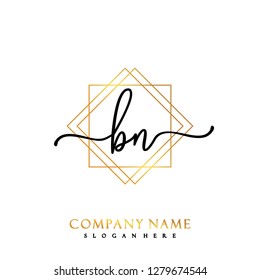 BN Initial Handwriting logo template vector