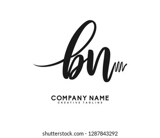 BN Initial Handwriting Logo Template Vector