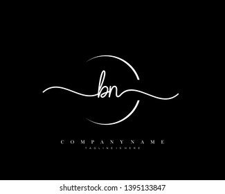 BN initial handwriting logo template vector