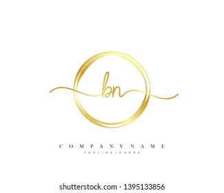 BN initial handwriting logo template vector