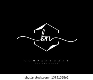 BN initial handwriting logo template vector