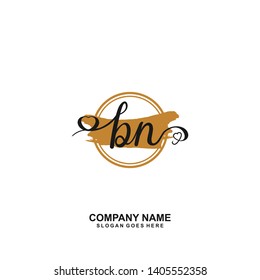 BN Initial handwriting logo vector