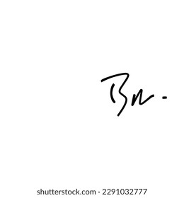 Vector de logotipo de escritura a mano inicial de Bn