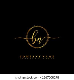 BN Initial luxury handwriting logo vector