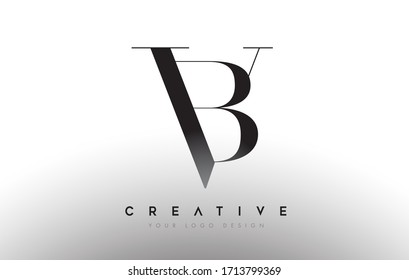 BN bn diseño logotipo logotipo logotipo logotipo logotipo concepto de icono con fuente serif y estilo clásico elegante estilo ilustración vectorial.