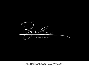 BN letter elegant cursive beauty handwriting logo.