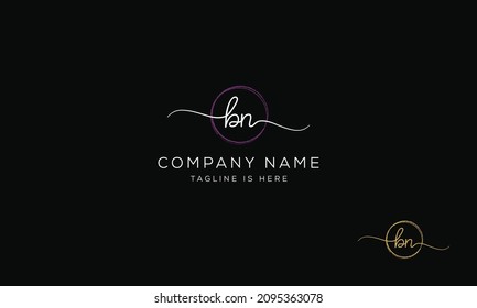 BN NB Signature initial logo template vector