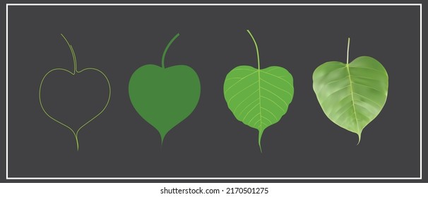 Bo leaves, green , vector art, isolated 