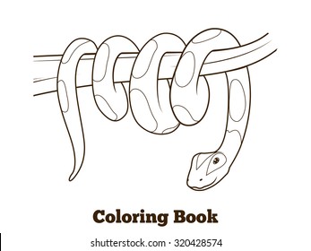 Boa cartoon coloring book vector illustration