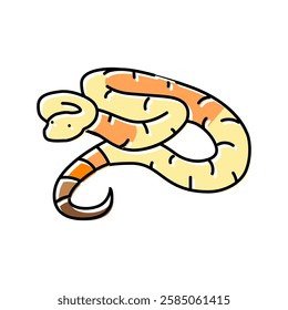 boa constrictor animal snake color icon vector. boa constrictor animal snake sign. isolated symbol illustration