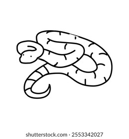 Boa Constrictor Tier Schlange Linie Icon Vektor. Boa Constrictor Animal Snake Zeichen. isoliertes Kontursymbol, schwarze Illustration