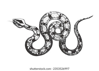 Constrictor de Boa. Esbozo de Doodle. Ilustración vectorial vintage.