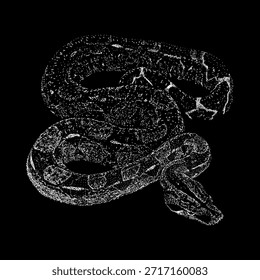 Boa Constrictor, featuring detailed line art and bold contours. Ideal for tattoos, logos, t-shirt prints, posters, wildlife designs, and nature-themed illustrations.