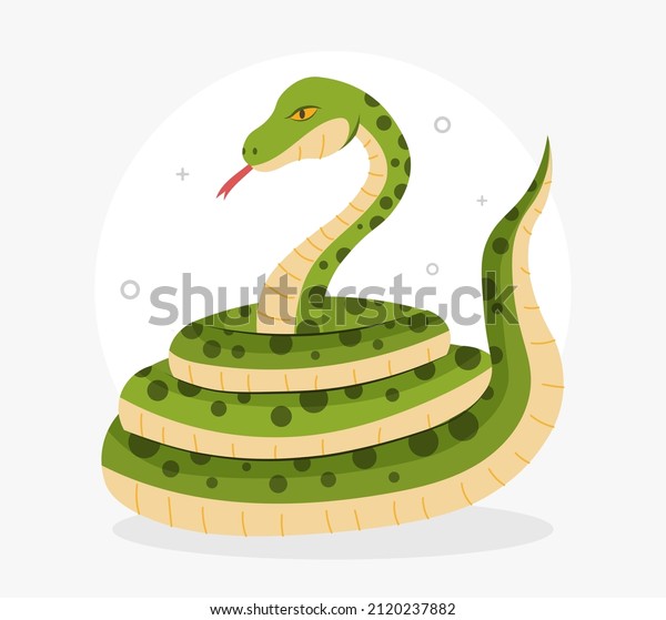 Boa constrictor for kid. Snakes, avatars for\
social networks. Graphic elements for site. Nature and fauna.\
Pictures for children, image for printing on tshirts. Cartoon flat\
vector illustration