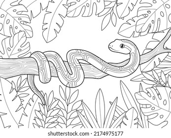 Boa constrictor on a branch. Tree leaves background. Children coloring book.