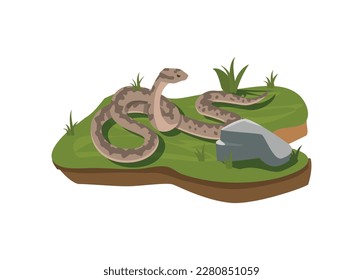 Boa dangerous snake crawls on a green meadow, flat vector illustration isolated on white background. Boa constrictor snake or python reptile animal in nature.