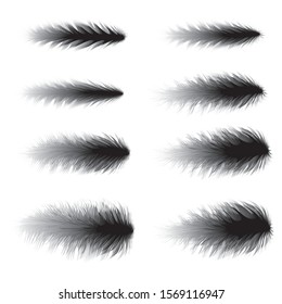 Boa Feathers vector fashion design art brushes & elements