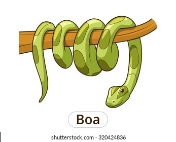 Boa snake cartoon vector illustration