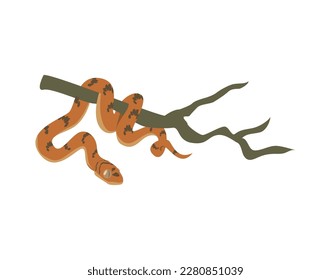 Serpiente boa colgando de la rama del árbol, ilustración vectorial plana aislada en fondo blanco. Boa o constrictor, serpiente anaconda o animal tropical pitón.