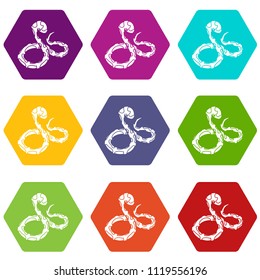 Boa snake icons 9 set colorful isolated on white for web