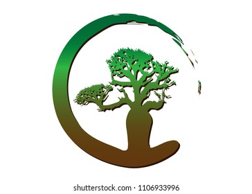 Boab or Baobab Tree Vector isolated, multi color tropical tree silhouette icon 