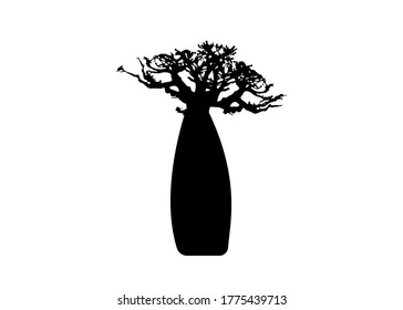 Boab or Baobab Tree Vector isolated, Andasonia tree silhouette icon. Baobabs silhouette concept sign in white background 