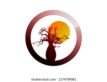 Boab or Baobab Tree Vector isolated, tree silhouette circle logo concept icon, illustration sign isolated on sunset  background