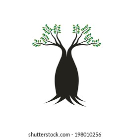 Boab tree image. Concept of mother tree, robust,stable, strong. Vector icon