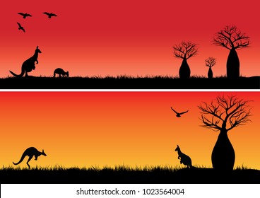 Boab Trees And Two Kangaroos In The Sunset Outback Australia