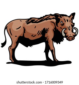 Boar Animal Cartoon Character Vector Illustration Design Collection