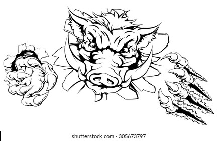 Boar claw breakthrough concept illustration of a boar mascot smashing out of the background