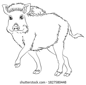 The boar is coming. Coloring Page vector. Coloring book anti-stress for adults and children. Black and white.