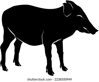boar cub  Standing as logo