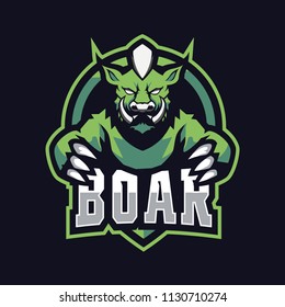 Boar E Sport Logo
