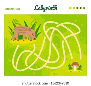 Boar finding mushroom. Maze game for kids. Labyrinth. Vector illustration in cartoon style.