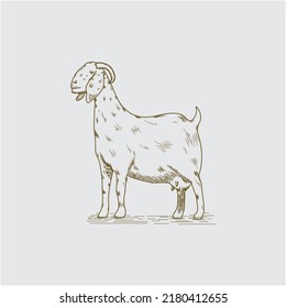 Vector de arte de la línea de cabra boar