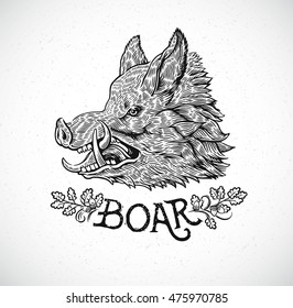 Boar head in engraving style, hand drawn illustration.