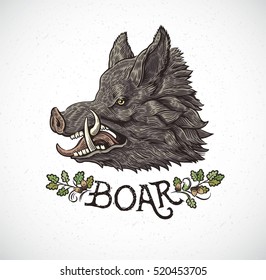 Boar head in graphic style and inscription, hand drawn illustration.