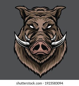 boar head vector illustration, can be used for mascot, logo, apparel and more