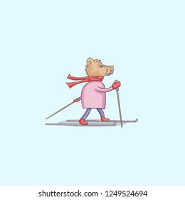 boar on skis. Vector illustration. Postcard for the year of the boar