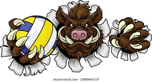 A boar razorback hog volleyball animal sports mascot holding a volley ball in his claw