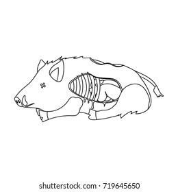 Boar single icon in outline style.Boar, vector symbol stock illustration web.