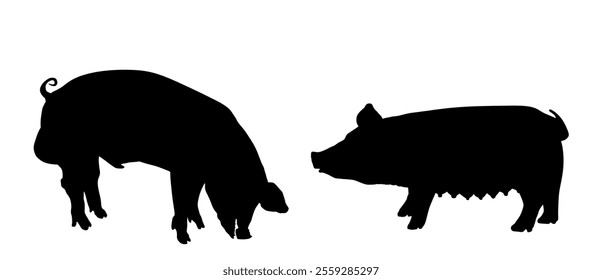 Boar and sow, male and female pig vector silhouette illustration isolated on white. Pork meat. Butcher shop wallpaper, poster. Spawn farm animal symbol. Domestic swine. Breeding boar. Organic food.