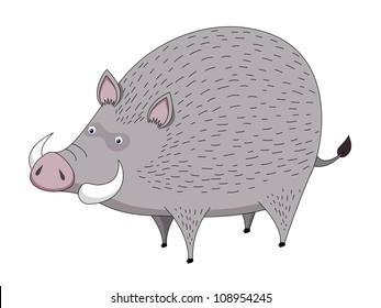 Boar vector