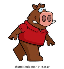 Boar Walking