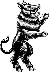 A boar wild hog razorback warthog pig animal for crest in rampant pose. Heraldic coat of arms heraldry design element concept in a vintage illustration style.