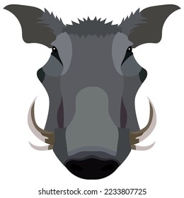 Boar, wild pig animal sketch. Hog or african warthog head isolated vector icon of forest and safari mammal with sharp tusk for hunting club symbol, zoo mascot or wildlife themes design