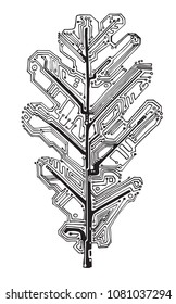 board oak leaf - the scheme black and white electronic structure