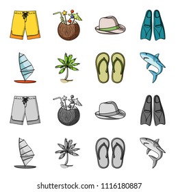 Board with a sail, a palm tree on the shore, slippers, a white shark. Surfing set collection icons in cartoon,monochrome style vector symbol stock illustration web.